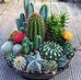 Bell Jardin - Facebook