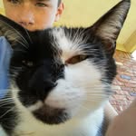 jadinjohmson - @jadinjohnson13 - Instagram