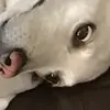 jadyn.brown - @jadyn.brown17 - TikTok