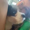 jadyncook - @jadyncook - TikTok
