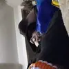 jaden george n1texas fan - @jaden.george8 - TikTok
