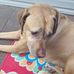 Jadyn George - Facebook