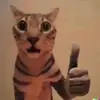 user87486722429 - @jadynwinterst86jam - TikTok