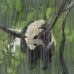 Jayden Wu - Facebook