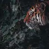 Jae Alexander - @j.alxander - TikTok