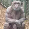 jbish - @jaega.bishop - TikTok