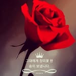 Jae-Chun Kim - @kjc2082 - Instagram