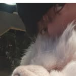 내인생은한강뷰 - @jaechunhyun - Instagram