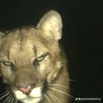 jaedan - @_jaedan.267 - Instagram