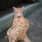 Jae Dang - Facebook