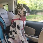 Jae Blyseth-Eddins - @stormbutt2022 - Instagram