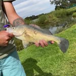 Jae Edwards - @chasinnativesaus - Instagram