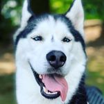 Jae Hardy - @mr.bates23 - Instagram