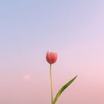 ᴶᴬᴱᴴᴱᴱ 🕊 - @jaehee._.83 - Instagram