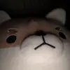 Jae - @jaeryu37 - TikTok