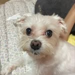 정재륜 - @jaeryunj - Instagram