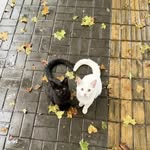Angie Santillan García - @jaeyumekoyeri - Instagram