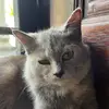 Jaeyumm - @jaeyummv - TikTok
