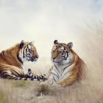 JaeUng Lee - @jaeung.l - Instagram