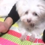 @jaewonmoon - Instagram