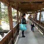 Jaeyeon Lee - @jaeyeonlee315 - Instagram