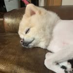 주재영 - @jaeyoung_joo - Instagram
