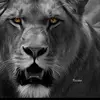 Jaf Jaffar - @jaf.jaffar - TikTok