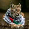 jafar java - @jafar.java - TikTok