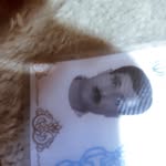 jafarjavan - @jafarjavan81 - Instagram