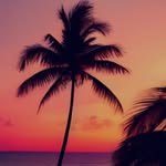 Jafar Rahimi - @jafar.rahimi313 - Instagram