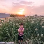 jafar rahimi - @rahimi_jafar291 - Instagram