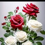 Jafar Shah - @jafar____shah___ - Instagram