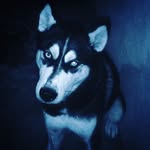 Jafet Polanco - @jafet7857 - Instagram