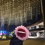 Jafet Torres - @jafettorresm - Instagram