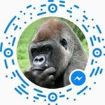 Jafeth Rivera - @jafethrivera43 - Instagram