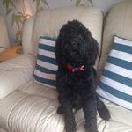 Jaffa edwards - @edwardsjaffa - Instagram