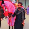 jaffer abbas - @jafferabbas147 - TikTok
