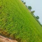 jag@brar - @jagbrar554 - Instagram