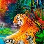 jagdeep Dhanda - @ashishjaatjaat4900 - Instagram