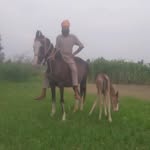 Jagmeet Gill - @jagmeet_gxll_ - Instagram