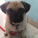Jaggi - @jagminder___singh - Instagram