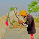 Jagroop Brar - @jagroop1824 - Instagram