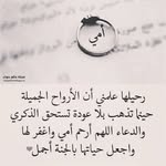 jahan Mohammad - @jahanmohammad1 - Instagram