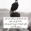 jahan Mohammad - @user525691527721998 - TikTok