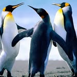 Jai Nanda - @jainanda2 - Instagram