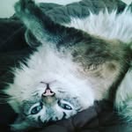 Jai Strong - @cendora7 - Instagram