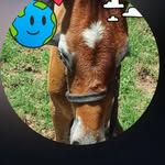 jaivangomes - @jaivangomes2 - Instagram