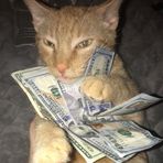 Jaiden Warren - Facebook