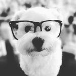 JaiWarren! - @jaiden__warren - Instagram