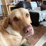 Jaime Alcorn - @jaime.alcorn - Instagram